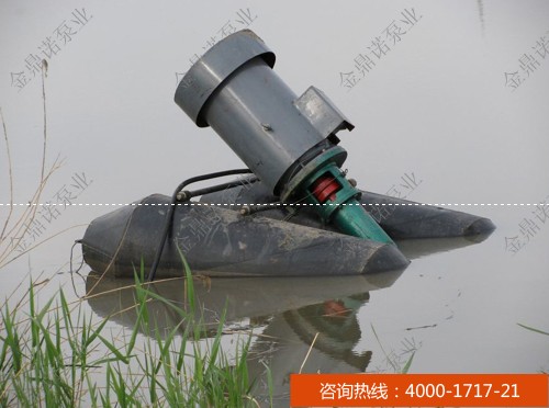 [福建漳州]4寸立式泥漿泵 用于魚(yú)塘清淤